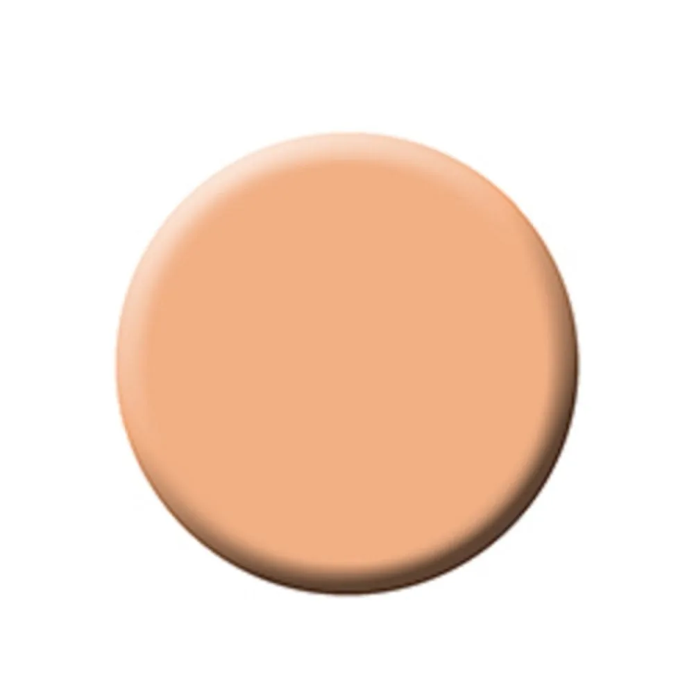 FIXX CREME FOUNDATION - RUBY REFILLS