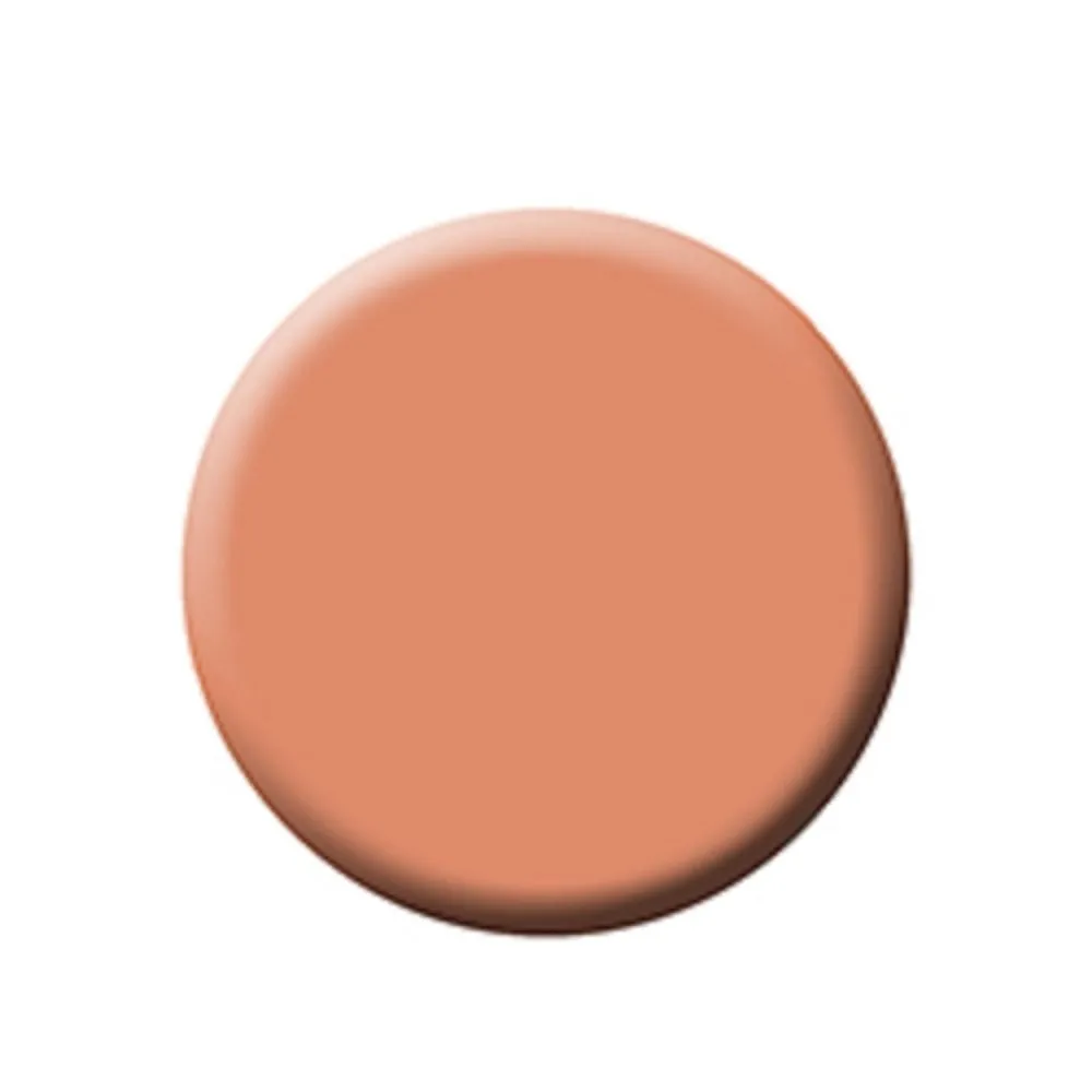 FIXX CREME FOUNDATION - RUBY REFILLS