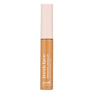 Fresh Face Perfecting Concealer | Shade 10