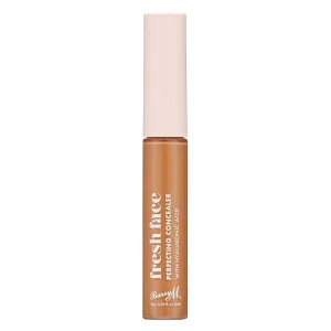 Fresh Face Perfecting Concealer | Shade 12