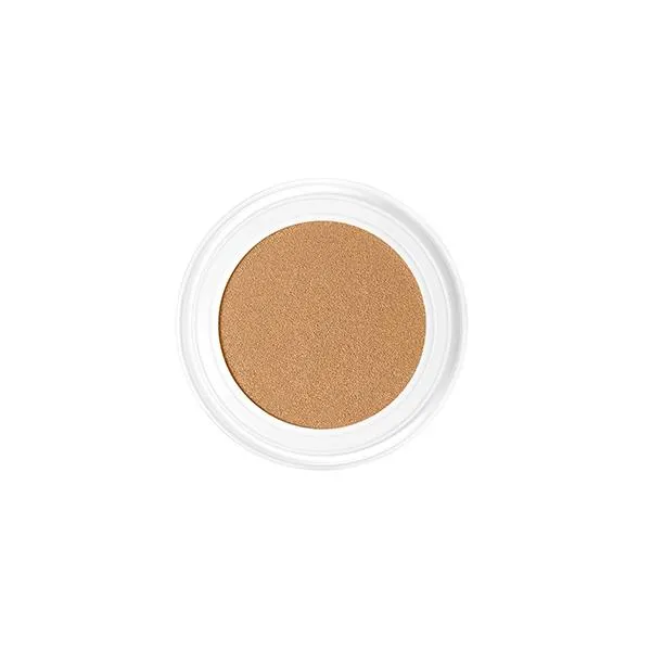 Future Skin Cushion Foundation