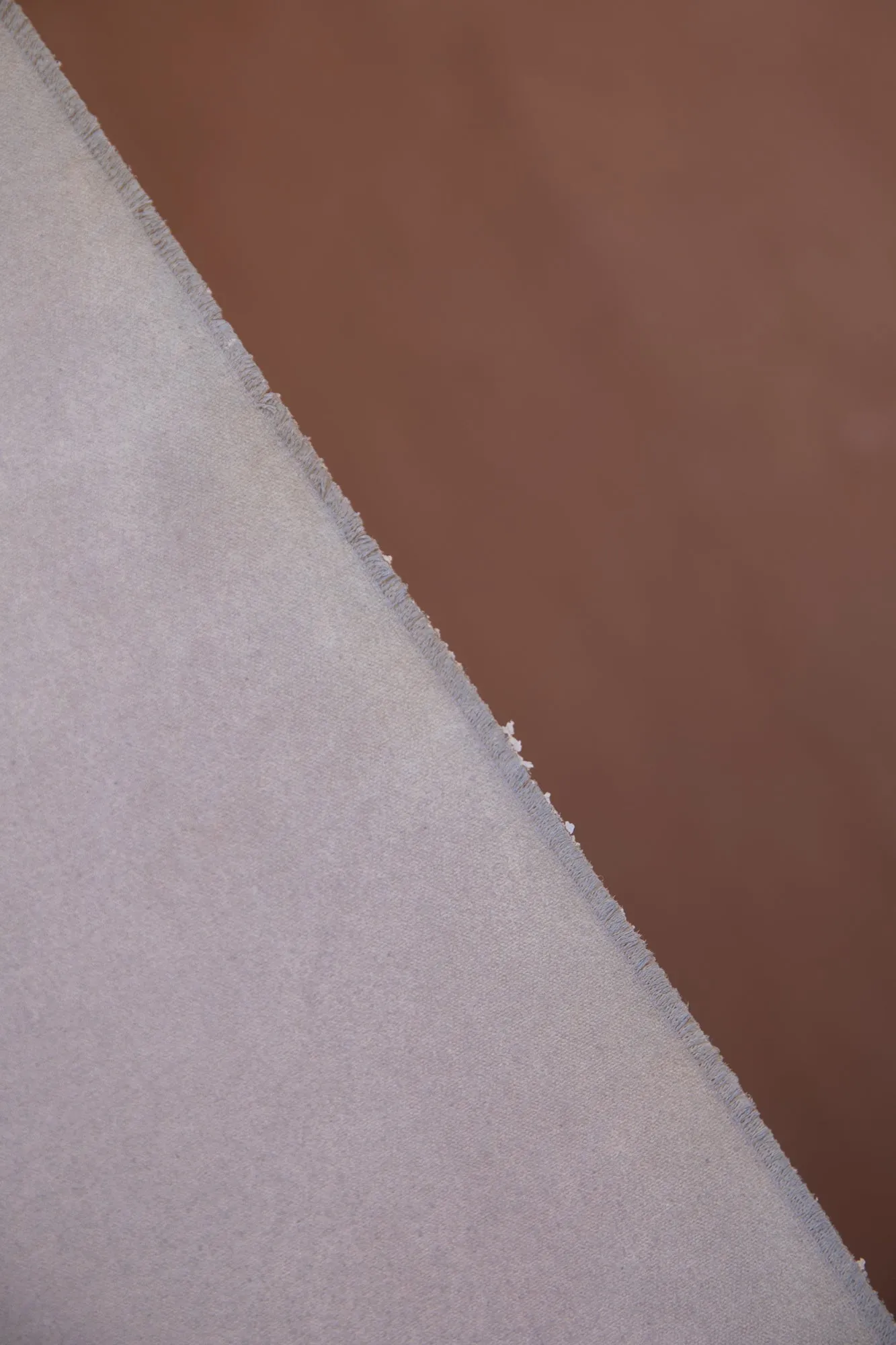 Lover's Cheek #0415 // Large  Hand-Painted Canvas Backdrop