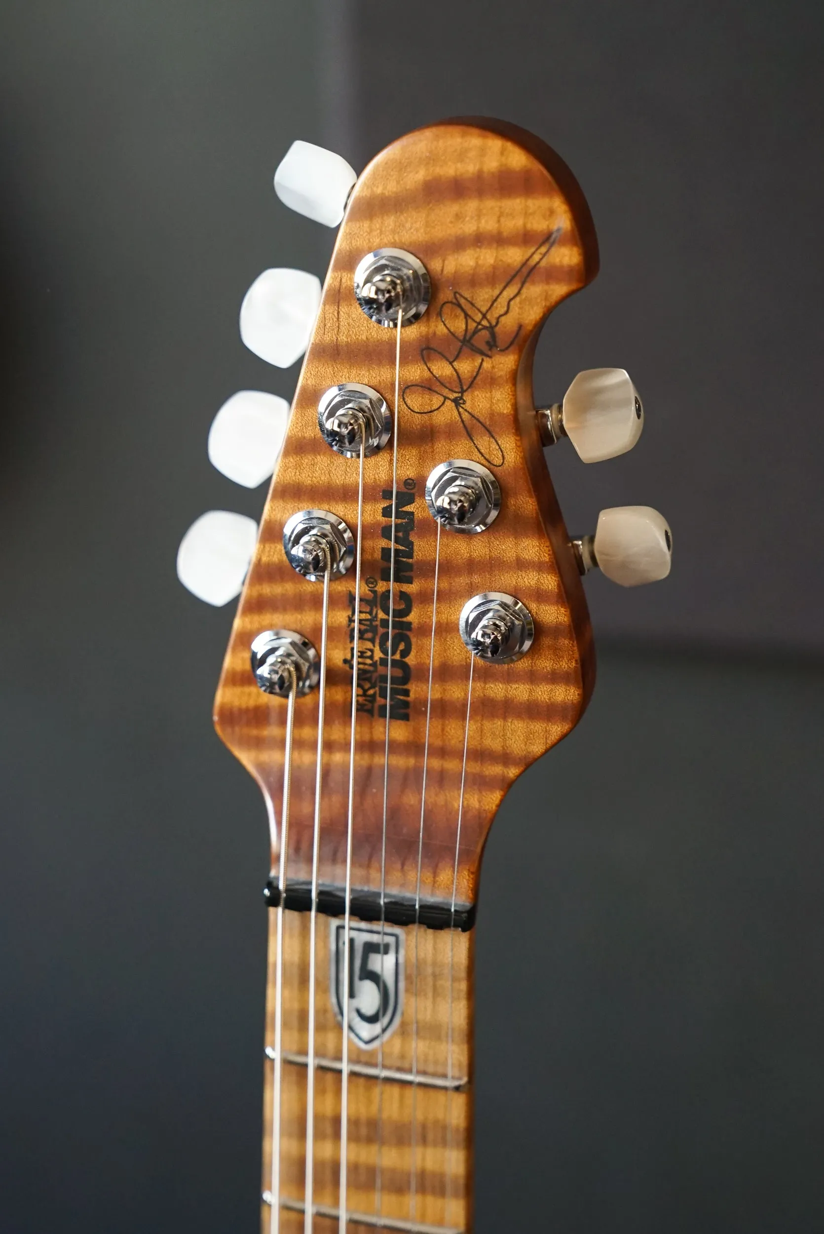 Music Man JP15 John Petrucci Signature Guitar - Purple Nebula Flame Top