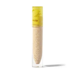 Revealer Concealer