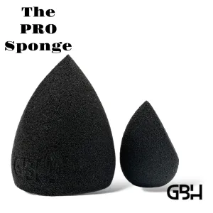 The Artist Pro Sponge